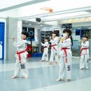 용인대석사백인태권도장 이미지