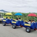 초원어린이집 이미지