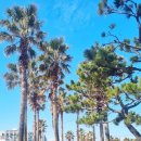 서우봉사우나 이미지