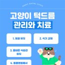 석적동물병원