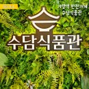 (주)수담식품관가양역점 | 가양동 반찬가게 수담 식품관 가양역점 다양한 반찬과 한 끼식사용 메뉴와 밀키트까지 풍성 반찬 고민 끝~