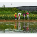 장성공원2 이미지