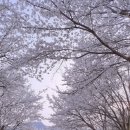 북산면 행정복지센터 이미지