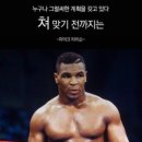 뮤트복싱체육관 이미지