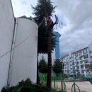 송정유치원 이미지