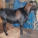 박종봉농장 이미지