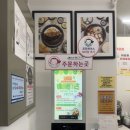 돈가츠와