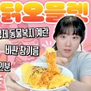 뼈말라의 끝은 골다공증이다 이미지