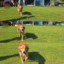 폴짝하우스 이미지