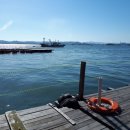 수진좌대2 이미지