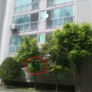 행선로14 이미지