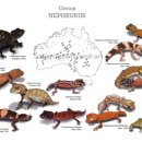 테일프렌즈 이미지