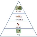 해충에도 서열이 존재한다고? 이미지