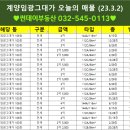 해링턴썬데이부동산공인중개사사무소 이미지