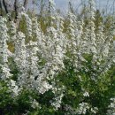 남산 산책로 이미지