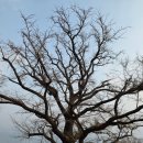 운길산 등산로[송촌-9] | 운길산 산행 후 물의정원까지