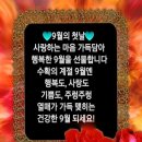 건행 - 용인시 기흥구 죽전로 10 | 건행