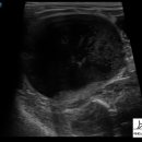 아띠 동물의료센터 이미지