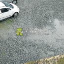 영신장여관 이미지