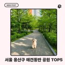 용산-137 | 서울 용산, 반려동물과 함께 가는 공원 TOP5｜2026년 최신 이용법과 주변 정보까지!