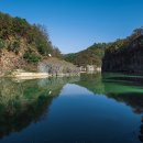 새바라기 이미지