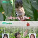 이유리농장 이미지