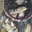 월척낚시터 이미지