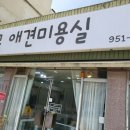 모모애견미용실 이미지