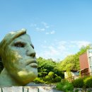 강화군 티앤림 자연휴양림 이미지