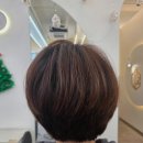 다옴헤어 이미지