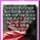 님의향기(김경남) 이미지