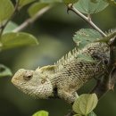 북대구헬스사우나 이미지