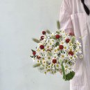 수수꽃방 | 데이지 느낌의 여름부케 🌼 마트리카리아와 마가렛으로 완성한 내추럴 부케 | 서면꽃집,전포동꽃집