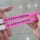 경기관상어 | 2025 한국 관상어 산업 박람회 with 렙타일