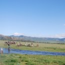 알타이항공(주) 이미지