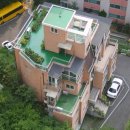 충북 영동 특산 일라이트의 효과를 증명합니다
