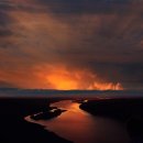 고지혈증의 이해와 관리 이미지