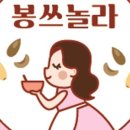 봉쓰놀라 네이버블로그