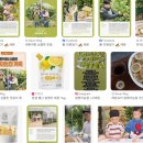 영호농원경로당 | 껍질째 먹는 국산 레몬? 6시 내고향 장성 레몬 정체