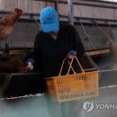 도계유통 연합뉴스