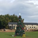 동화목장 | [제주도 서귀포] 동화 속 같은 '대한목장' 인생샷 코스 총정리!