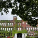 대동식당 이미지