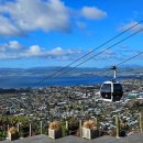 한재희농장 이미지