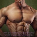 피지컬 뷰티 네이버블로그