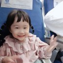 스테이비갠오후 이미지