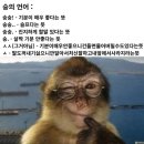 플라워화장품 - 송파구 바람드리길 48 | 플라워화장품