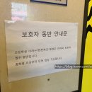 힐링위드독 이미지