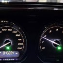 할리월드 333 이미지