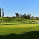 파란골프 이미지