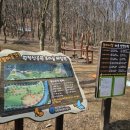 원적산공원 유아숲체험원 이미지